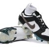 Nike Dunk