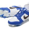 Nike Dunk