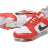 Nike Dunk